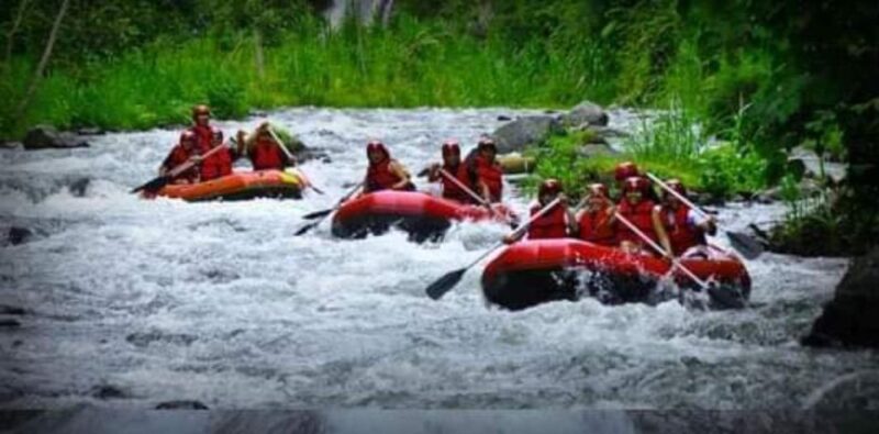 Ubud : Adventure of Ayung River Rafting All Inclusive - Key Points