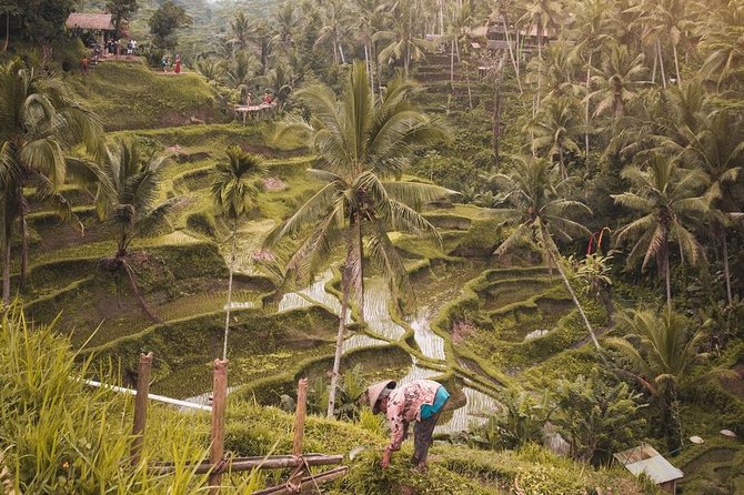 Ubud Adventures - Good To Know