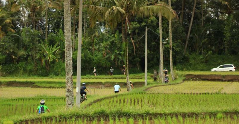 Ubud: Afternoon Cycling Tour With Photographer and Lunch - Itinerary Highlights