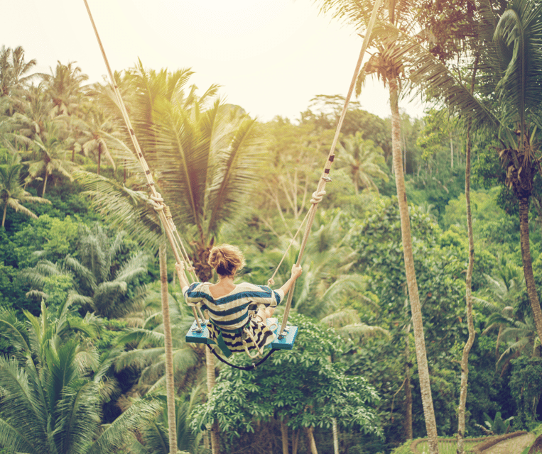 Ubud All-In-One: Waterfalls, Rice Fields, Swing, Monkeys - Key Points