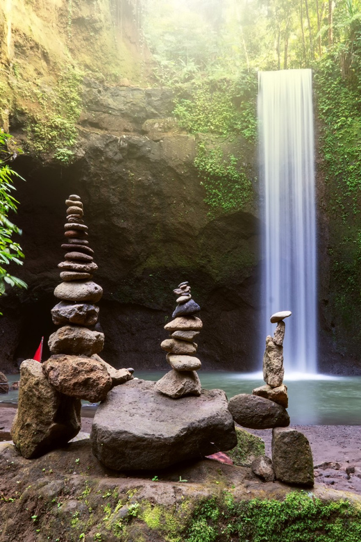 Ubud All-In-One: Waterfalls, Rice Fields, Swing, Monkeys - Tour Guide and Experience