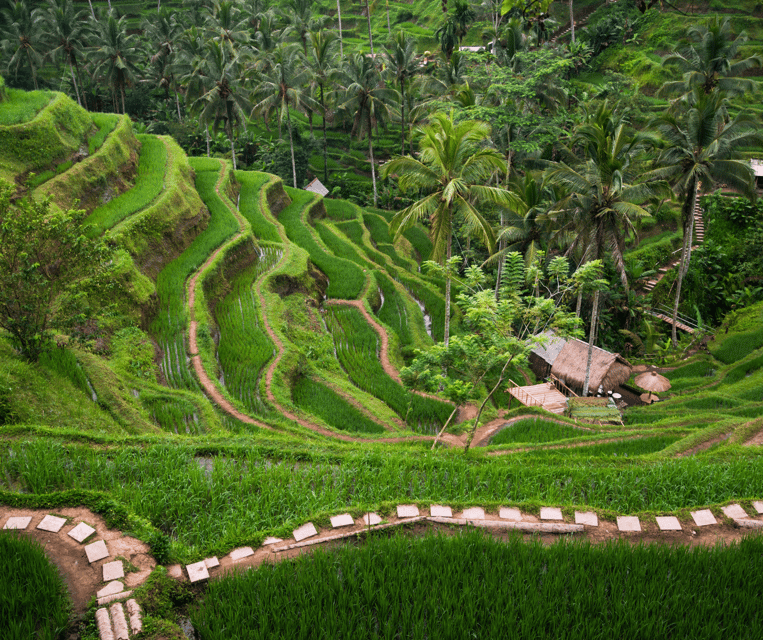 Ubud All-In-One: Waterfalls, Rice Fields, Swing, Monkeys - Kanto Lampo Waterfall