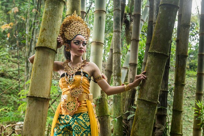 Ubud All-Inclusive Full-Day Tour - Private Transportation and Amenities