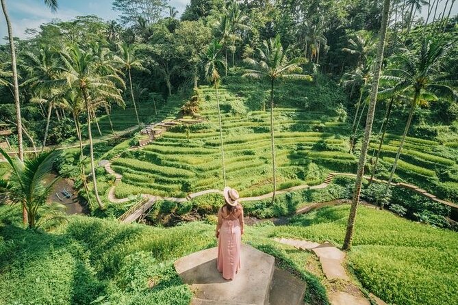 Ubud - All Inclusive Private Day Tour - Booking and Availability