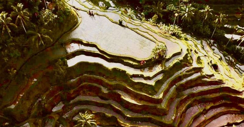Ubud: All-Inclusive Tour With Optional Lunch - Itinerary Highlights