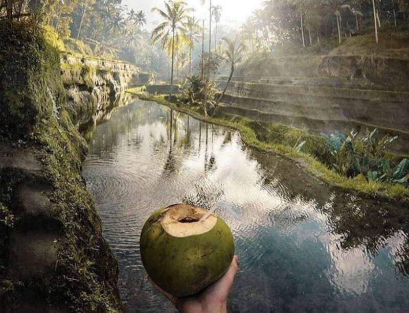 Ubud: All-Inclusive Tour With Optional Lunch - Suitability Considerations