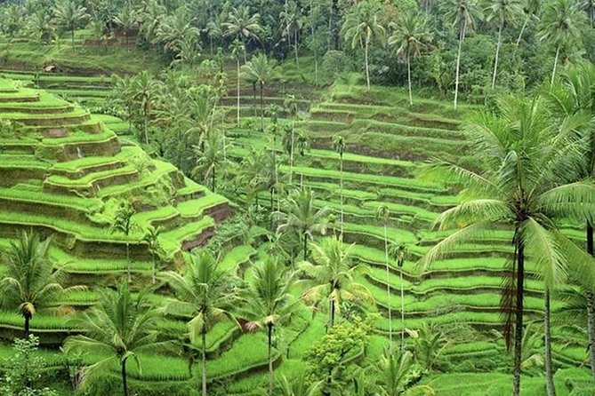 Ubud and Tanah Lot Tours - Personalized Experience