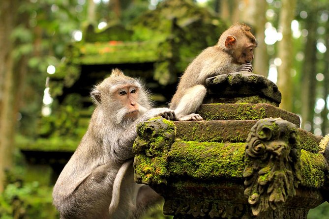 Ubud and Tanah Lot Tours - Convenient Pickup Locations