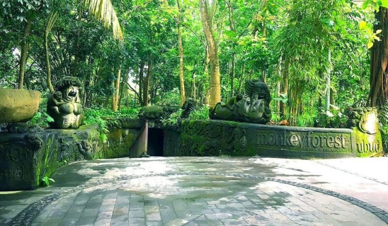 Ubud: Arts Village, Monkey Forest, Swing, Coffee Plantation - Itinerary Highlights