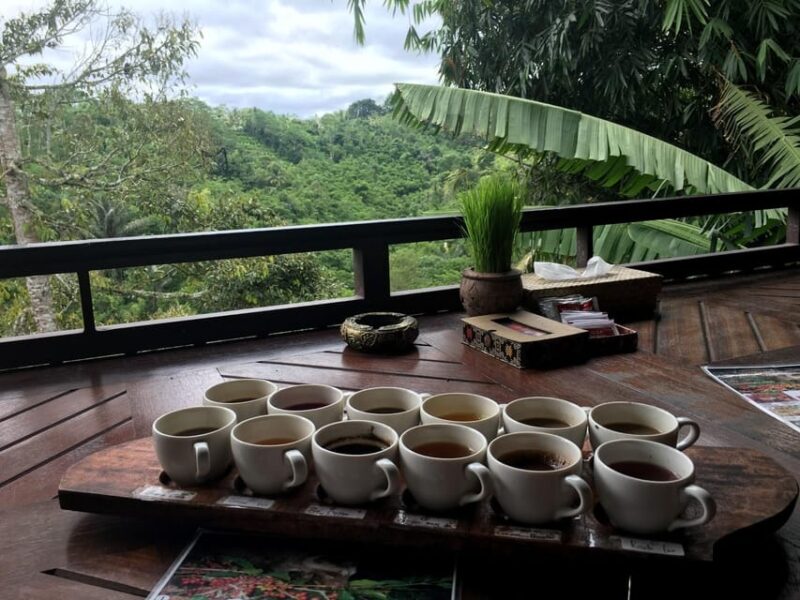 Ubud: Atv Adventure Down to Rice Terrace. - Key Points