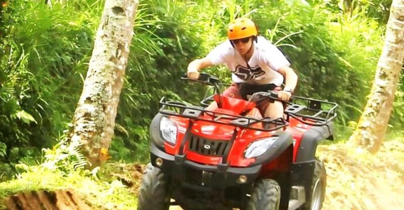 Ubud: Atv Adventure Down to Rice Terrace. - Highlights and Experiences