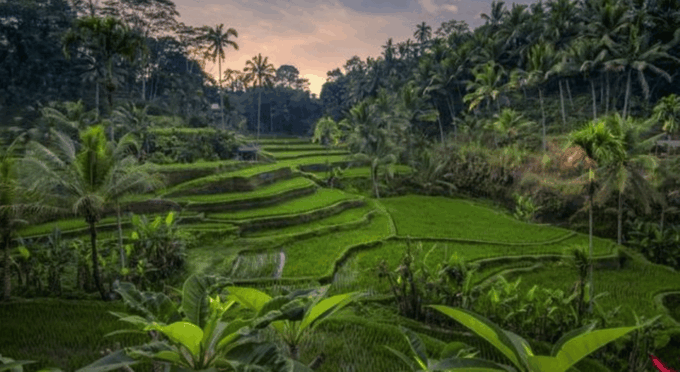 Ubud: Atv Adventure Down to Rice Terrace. - Pickup and Drop-off Locations