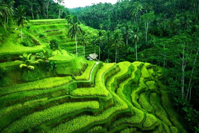 Ubud: Atv Adventure Down to Rice Terrace. - Frequently Asked Questions