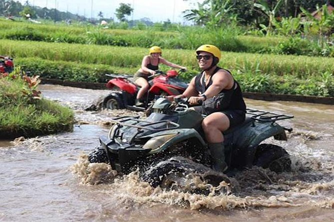 Ubud ATV Quad Bike, Monkey Forest and Rice Terrace - ATV Ride Experience