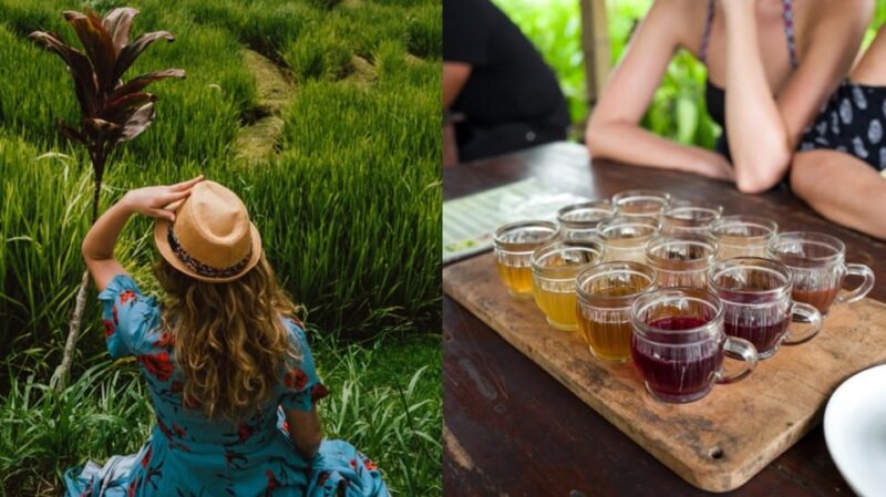 Ubud: ATV Quad Bike, Tegalalang Rice Terrace, Coffee Testing - Important Information