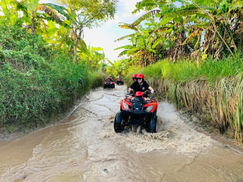 Ubud ATV Quad Bike, Waterfall & Swing Option - Booking Information