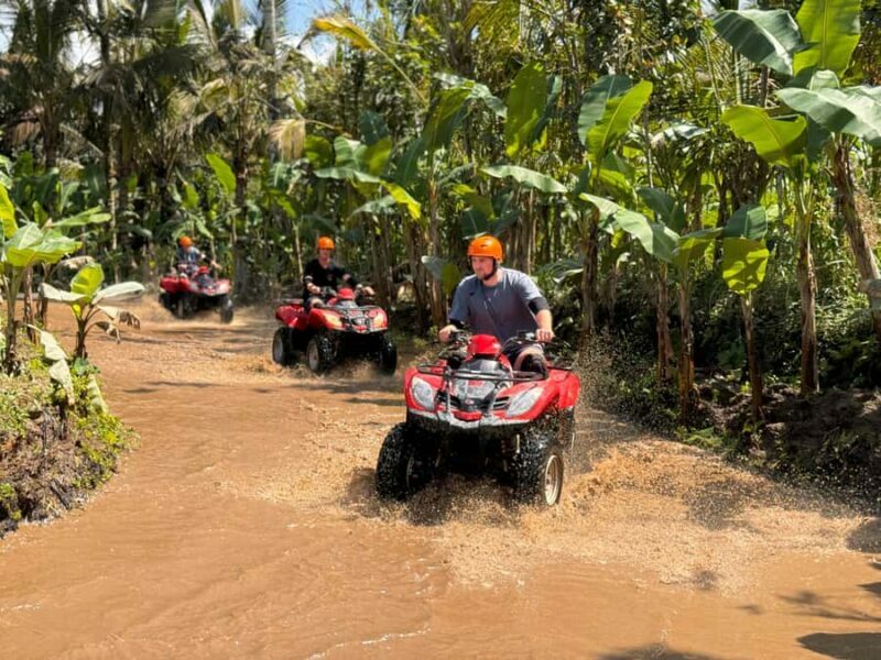 Ubud: ATV Quad Bike & Zip-Line Adventure with Meal - Final Words: Who Will Love This Experience?
