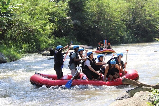 Ubud ATV Tunnel Waterfall and Ayung River Rafting - Ayung River Rafting