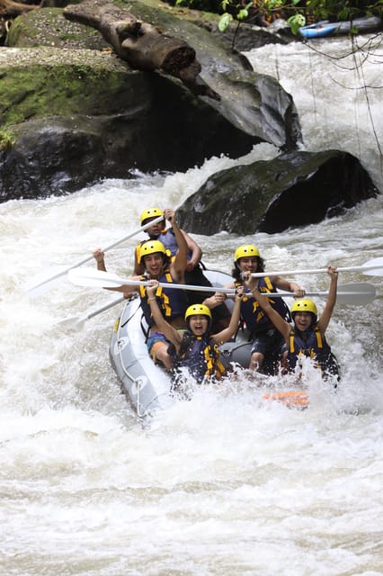 Ubud Ayung River Rafting Include Lunch - Inclusions