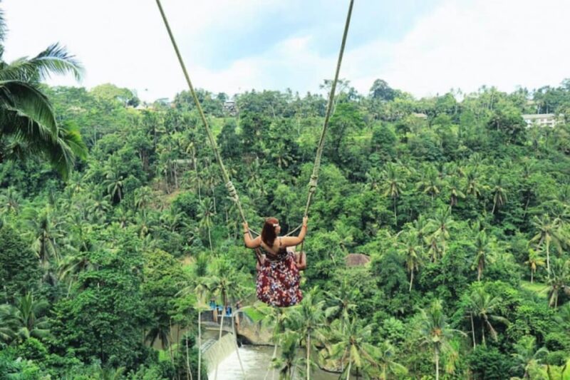 Ubud Bali: 2 Hours Private Tegalalang Rice Terrace & Swing. - Tour Overview and Pricing