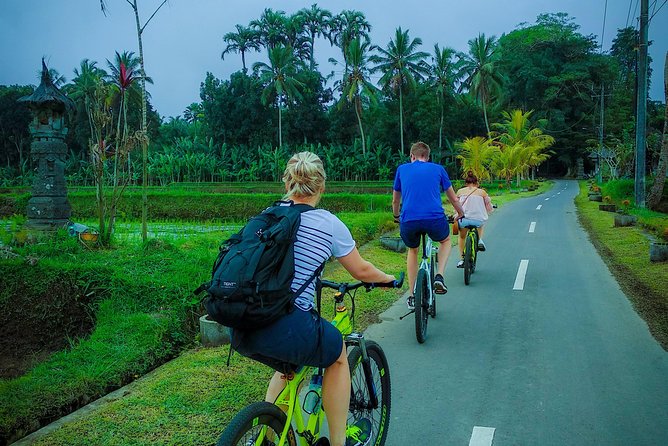 Ubud Bali Cycling Tour - Inclusions and Pricing