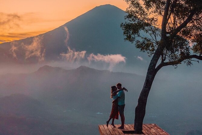 Ubud Bali Driver (Custom Tour) - Reviews and Rating