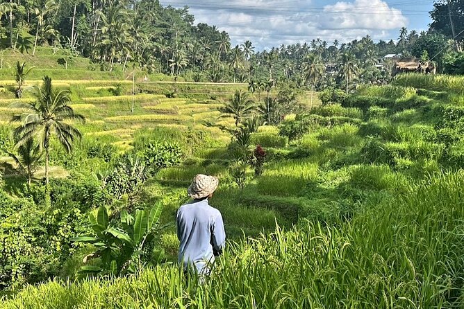 Ubud Bali Driver - Private Driver in Ubud - Inclusions and Exclusions