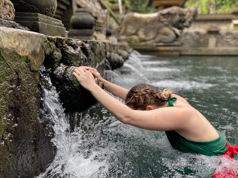 Ubud Bali: Highlight Ubud Full Day Private Tour - Traveler Experience