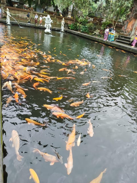 Ubud Bali: Highlight Ubud Full Day Private Tour - Pickup and Drop-off Locations