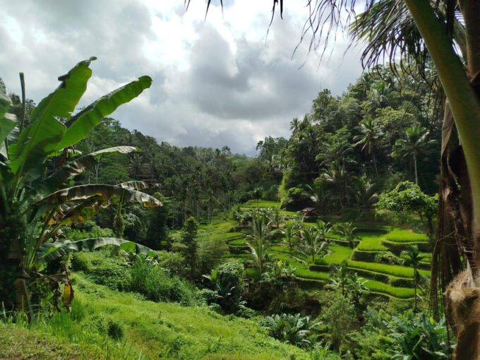 Ubud Bali: Highlight Ubud Full Day Private Tour - Frequently Asked Questions