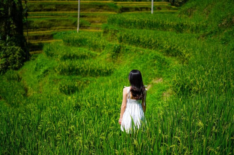 Ubud: Bali Swing Hidden Waterfall With Personal Photographer - Tegallalang Rice Terrace