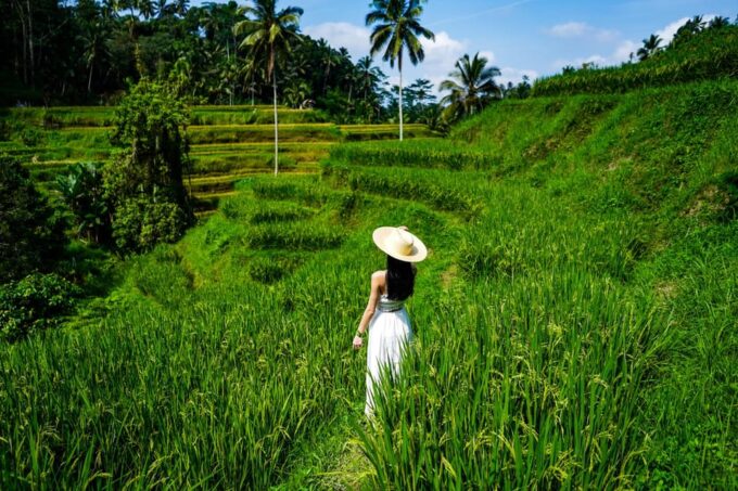 Ubud: Bali Swing Hidden Waterfall With Personal Photographer - Segara Windhu Coffee Plantation