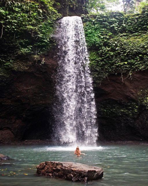 Ubud: Bali Swing, Monkey Forest, Waterfall Tour & Lunch - Itinerary Details