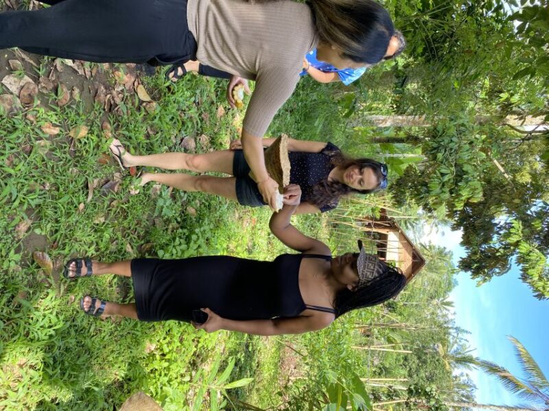 Ubud: Balinese Cooking Class at an Organic Farm - Cooking Experience