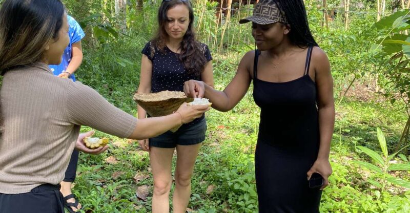 Ubud: Balinese Cooking Class at an Organic Farm - Group Size and Accessibility