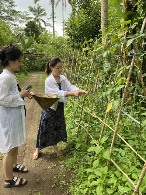 Ubud: Balinese Cooking Class at an Organic Farm - Customer Rating
