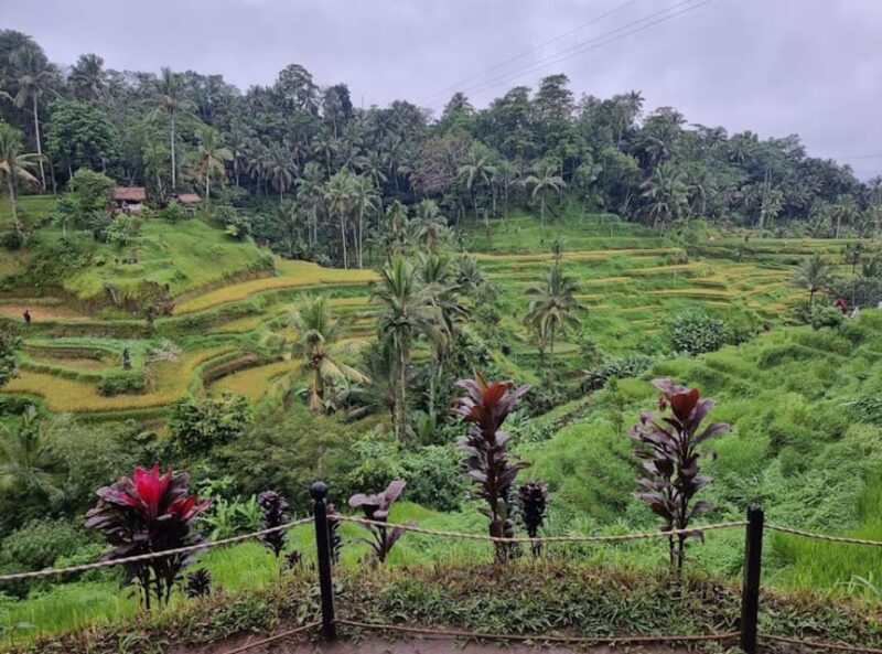 Ubud : Barong Dance, Temple, Rice Terrace & Waterfall - Travel Times