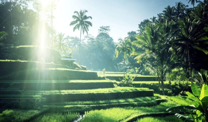Ubud: Best Escapes Waterfall in Ubud - Kanto Lampoe Waterfall