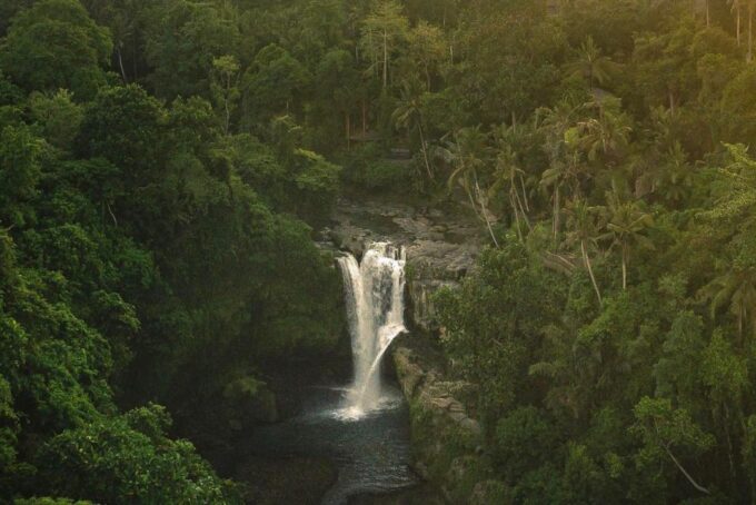 Ubud Best Highlights in a Private Day Tour - Satria Agrowisata