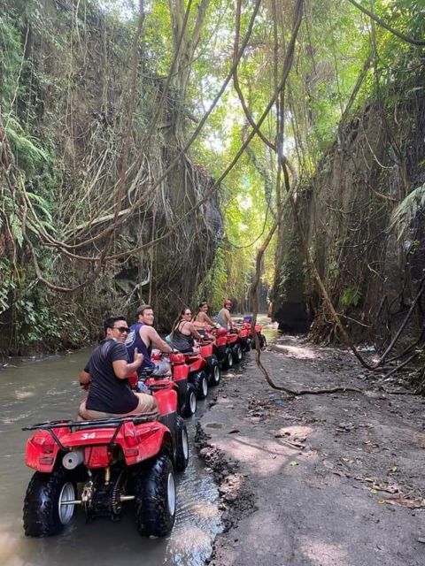 Ubud: Best of ATV Quad Bike Adventure - Key Points