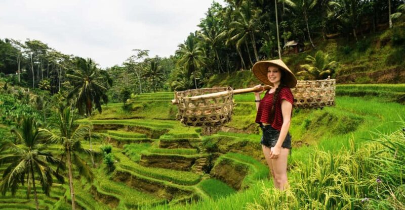 Ubud: Best of Ubud Full-Day Tour With Entry Tickets - Key Points