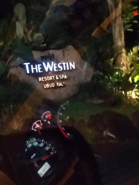 Ubud Best Tour Rice Terrace Atv Ride Instagram Tour Luwak - Key Points