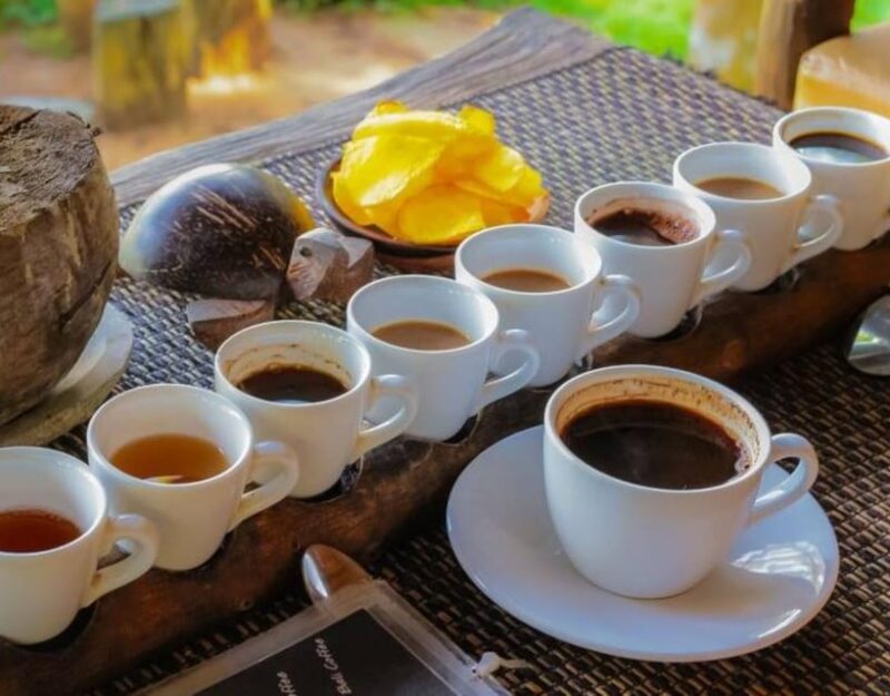 Ubud: Butterfly Park, Waterfall, and Rice Terrace Tour - Itinerary and Locations