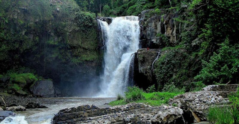 Ubud & Canggu: Rice Terrace, Waterfall & Black Sand Beach - Itinerary Highlights