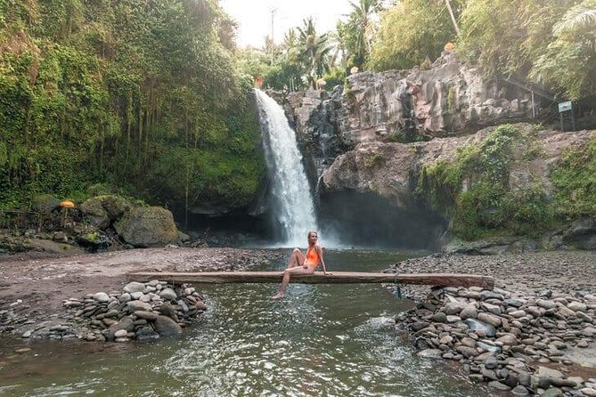 Ubud City Tour I: Monkey Forest, Ubud Palace, Art Market, and Waterfall - Safety and Accessibility