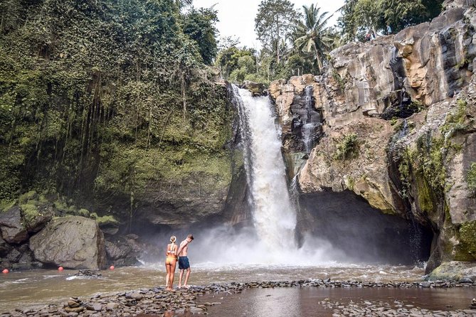 Ubud City Tour I: Monkey Forest, Ubud Palace, Art Market, and Waterfall - Ubud Monkey Forest