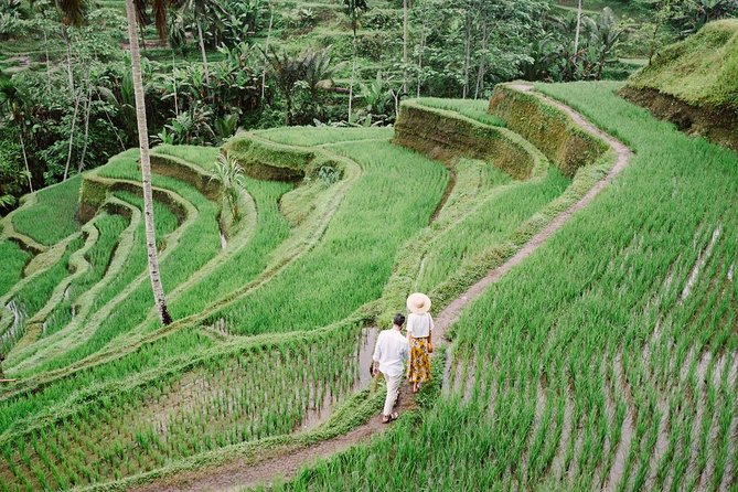 Ubud City Tour II: Monkey Forest, Palace, Art Market, and Rice Terrace - Traveler Feedback and Recommendations