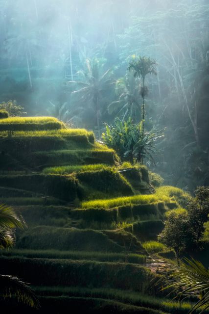 Ubud: Classic Vintage Volkswagen Custom Tour - Exploring Iconic Sites