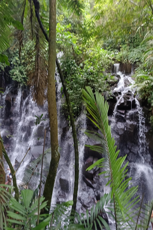 Ubud: Combination Ubud Full Day Trip With Private Guide - Tour Highlights