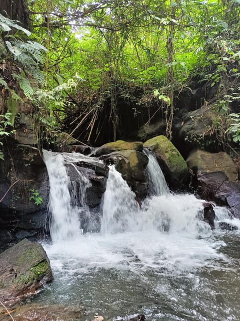 Ubud: Combination Ubud Full Day Trip With Private Guide - Inclusions and Requirements